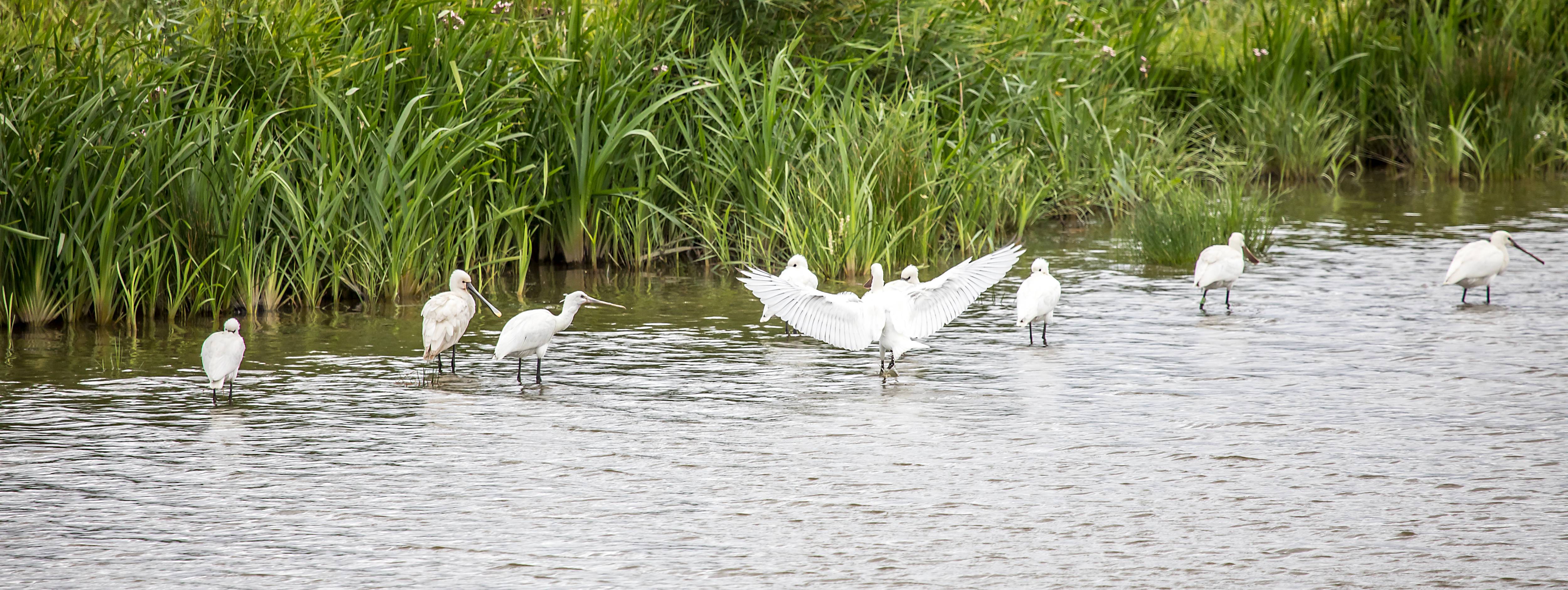 RSKulturcenter.Library.ValueConverters.Headline