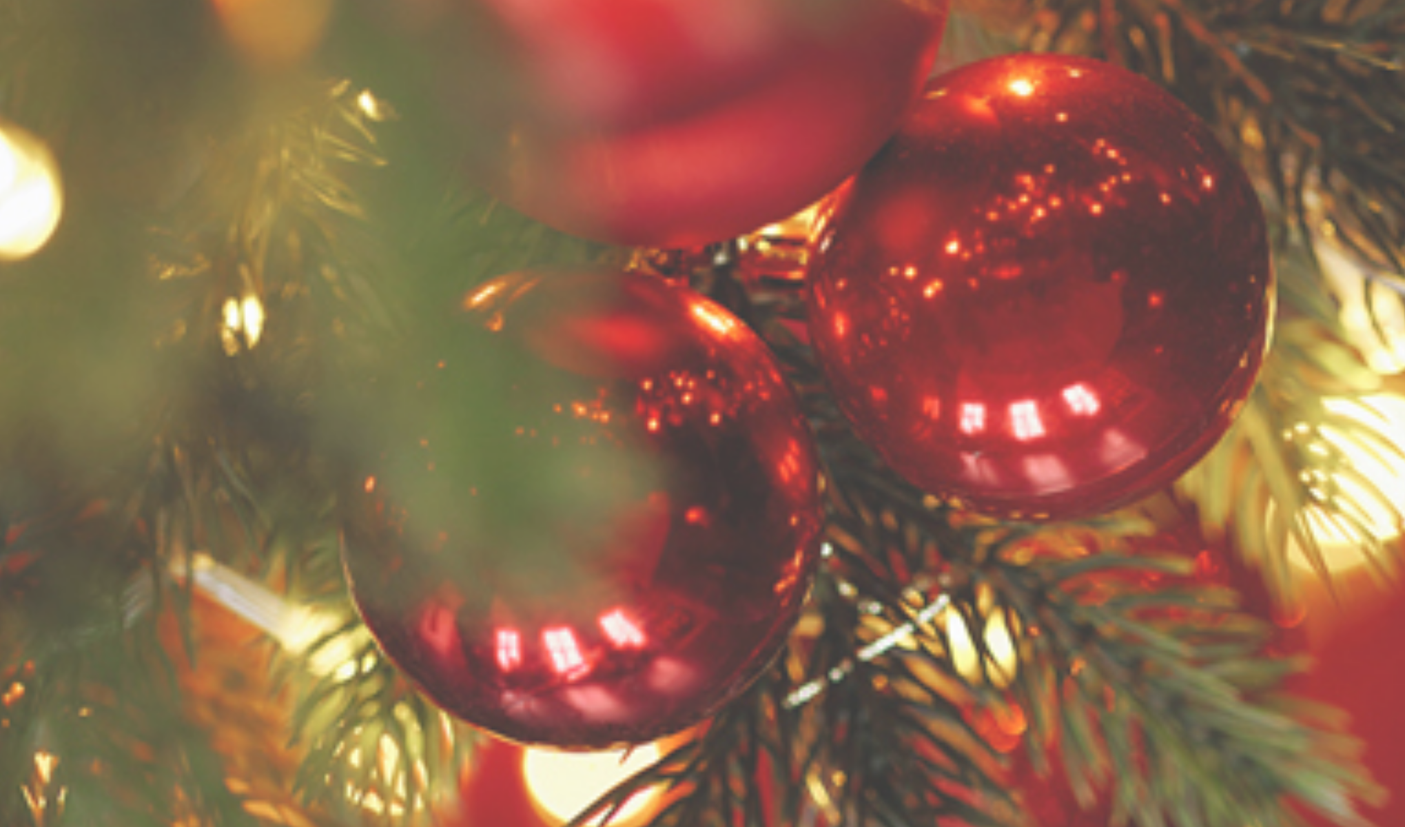 Skjerns største julefrokost er aflyst!